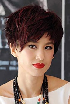 Películas de Shengyi Huang