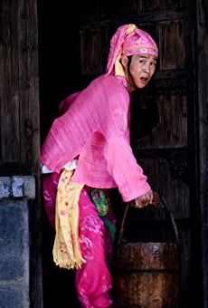 Películas de Shenyang Xiao