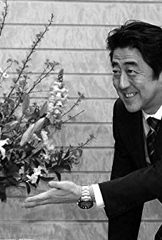 Películas de Shinzo Abe Películas de Shinzo Abe
