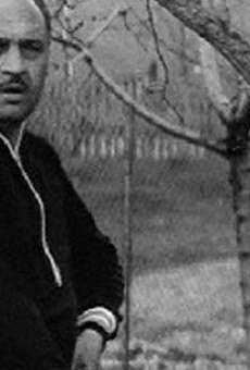 Películas de Shota Daushvili