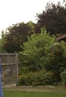 Películas de Simon Dasher