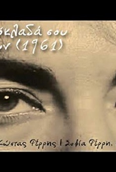 Películas de Sofia Ferri