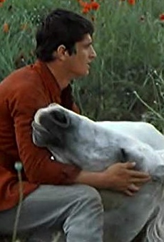 Películas de Soso Jachvliani