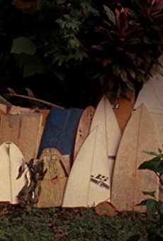 Películas de Stephanie Gilmore