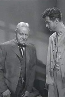 Películas de Steve Clark