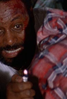 Películas de Steve Dixon