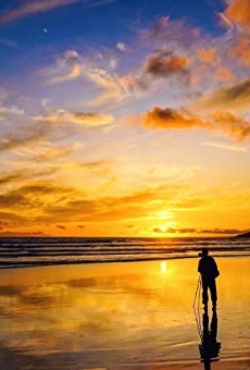 Películas de Steve Goldenberg