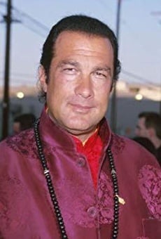 Películas de Steven Seagal