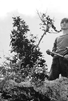 Películas de Stian Smestad