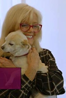 Películas de Sunny Griffin Películas de Sunny Griffin