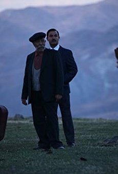 Películas de Talat Bulut