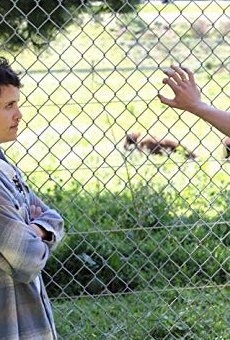 Películas de Tanya Wischerath Películas de Tanya Wischerath