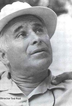 Películas de Ted Post