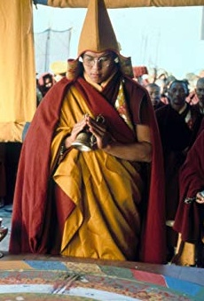 Películas de Tenzin Thuthob Tsarong
