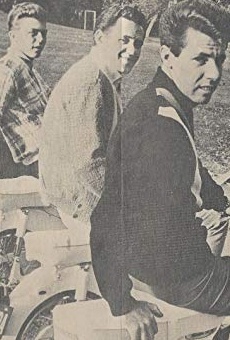 Películas de The Hondells