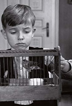 Películas de Thibault Sérié