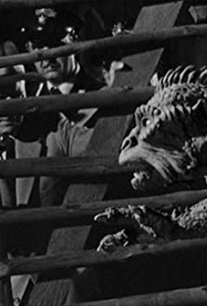 Películas de Tito Vuolo