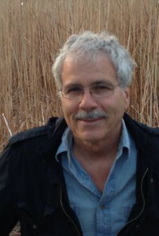 Películas de Tom Nardini