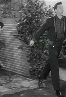 Películas de Tom Taylor