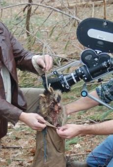 Películas de Tom Webber