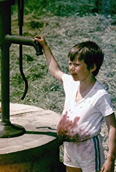 Películas de Tomás Holý