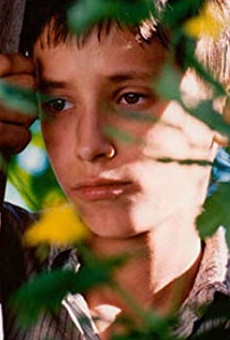 Películas de Tomás Zatecka