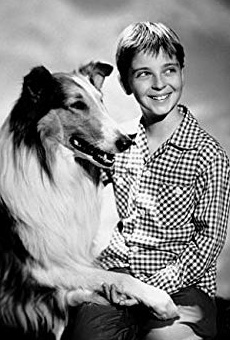 Películas de Tommy Rettig