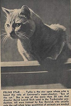 Películas de Tullia