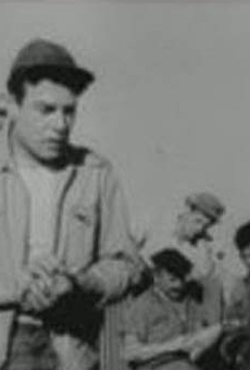 Películas de Turgut Özatay