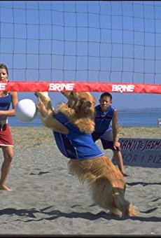 Películas de Tyler Boissonnault