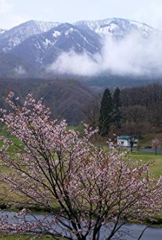 Películas de Tyler Richardson