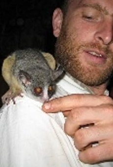 Películas de Van Neistat