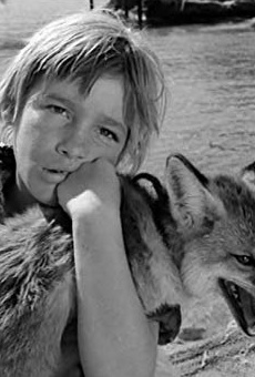 Películas de Vangelis Ioannidis