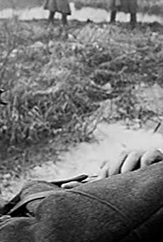 Películas de Vasiliy Lanovoy