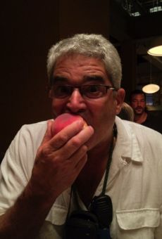 Películas de Vebe Borge