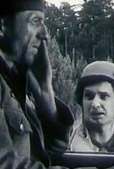 Películas de Viktor Nesterov