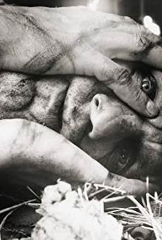 Películas de Viktor Solovyov