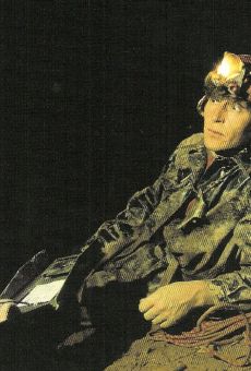 Películas de Viorel Ludusan