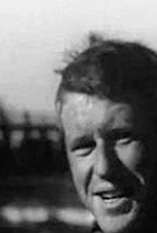 Películas de Vytautas Tomkus