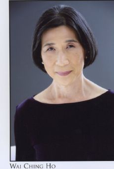 Películas de Wai-Ching Ho