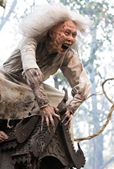 Películas de Wen-Chu Yang