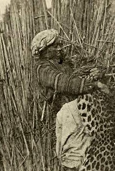 Películas de Will E. Sheerer