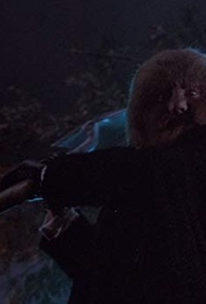 Películas de Will Kenton