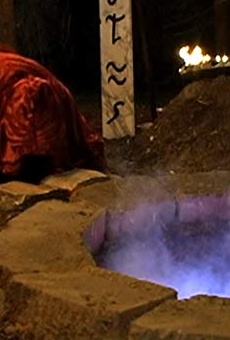 Películas de Will McDonald