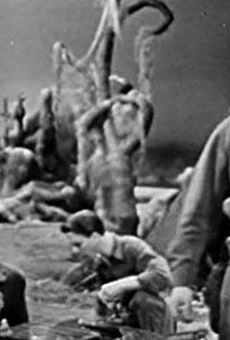 Películas de William Redfield