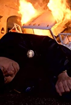 Películas de Wynn Irwin