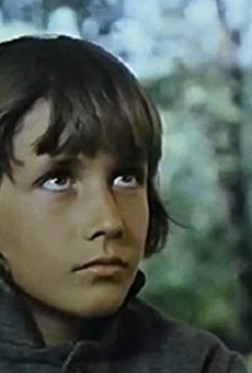 Películas de Xavier Norman Petermann