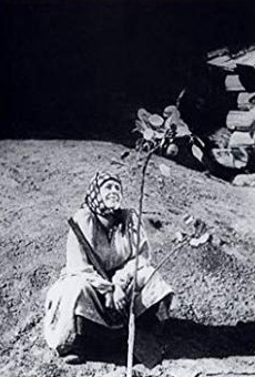 Películas de Yelena Yegorova