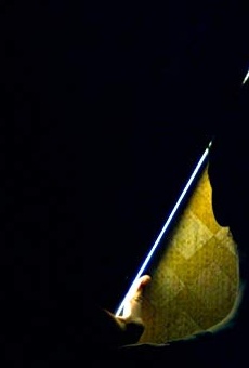 Películas de Yiannis Papadopoulos