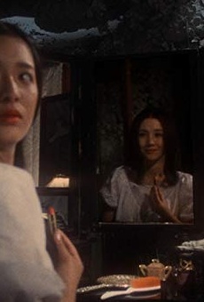 Películas de Yôko Minamida Películas de Yôko Minamida